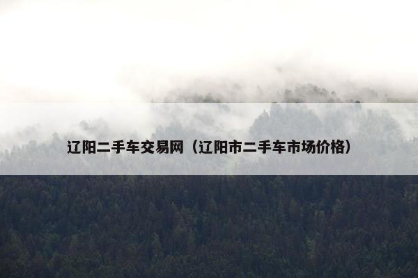 辽阳二手车交易网（辽阳市二手车市场价格）