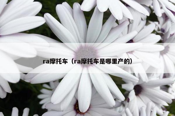 ra摩托车（ra摩托车是哪里产的）