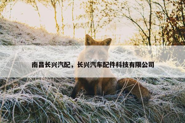 南昌长兴汽配，长兴汽车配件科技有限公司
