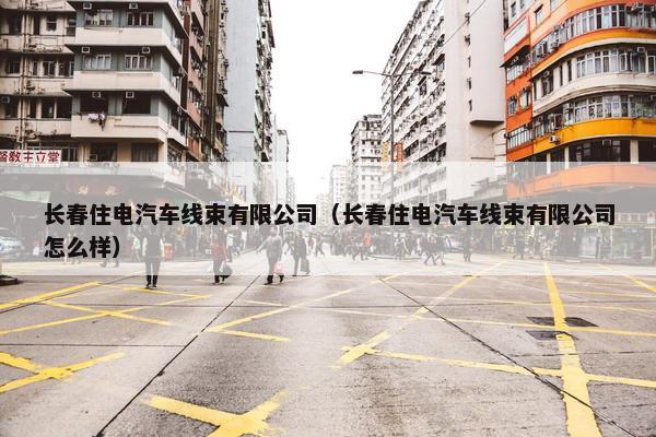 长春住电汽车线束有限公司（长春住电汽车线束有限公司怎么样）