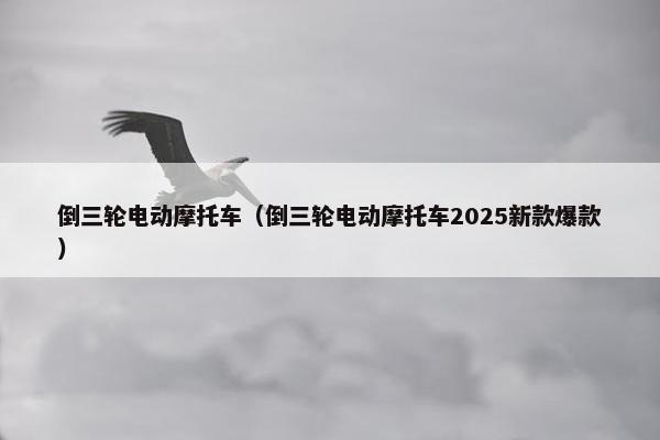 倒三轮电动摩托车（倒三轮电动摩托车2025新款爆款）