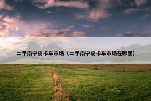 二手南宁皮卡车市场（二手南宁皮卡车市场在哪里）