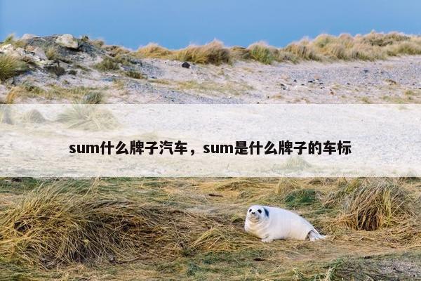 sum什么牌子汽车，sum是什么牌子的车标
