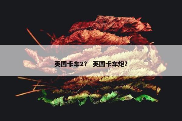 英国卡车2？ 英国卡车炮？