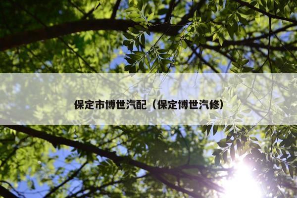 保定市博世汽配（保定博世汽修）
