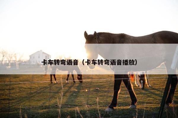 卡车转弯语音（卡车转弯语音播放）
