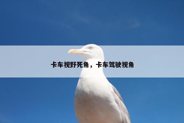 卡车视野死角，卡车驾驶视角