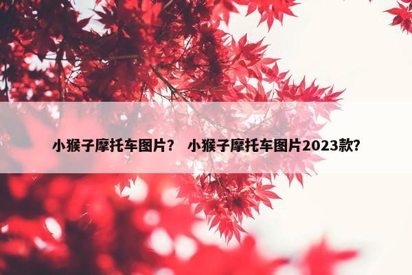 小猴子摩托车图片？ 小猴子摩托车图片2023款？