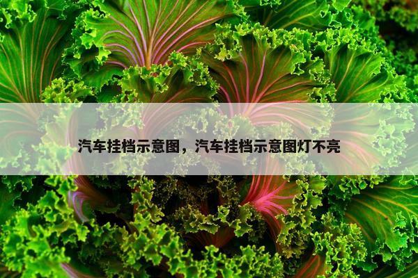 汽车挂档示意图，汽车挂档示意图灯不亮