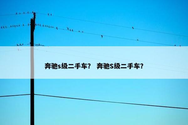 奔驰s级二手车？ 奔驰S级二手车？