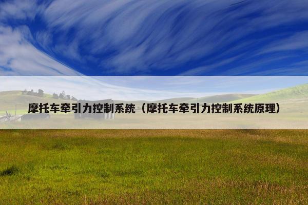 摩托车牵引力控制系统（摩托车牵引力控制系统原理）