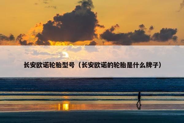 长安欧诺轮胎型号（长安欧诺的轮胎是什么牌子）
