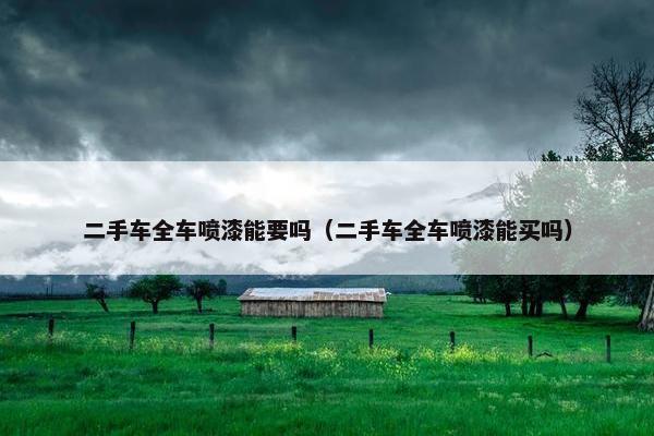 二手车全车喷漆能要吗（二手车全车喷漆能买吗）
