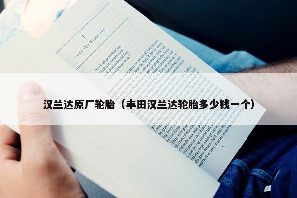 汉兰达原厂轮胎（丰田汉兰达轮胎多少钱一个）