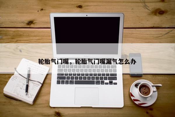 轮胎气门嘴，轮胎气门嘴漏气怎么办
