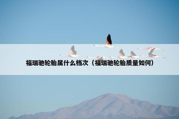 福瑞驰轮胎属什么档次（福瑞驰轮胎质量如何）