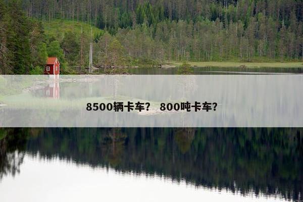 8500辆卡车？ 800吨卡车？