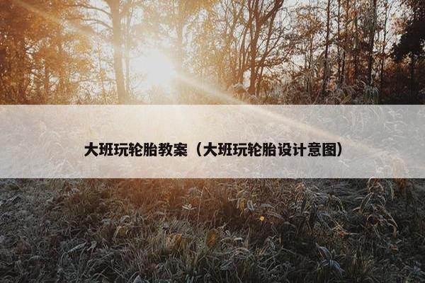 大班玩轮胎教案（大班玩轮胎设计意图）