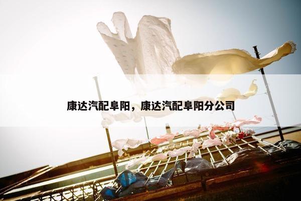 康达汽配阜阳，康达汽配阜阳分公司