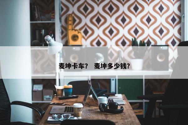 麦坤卡车？ 麦坤多少钱？