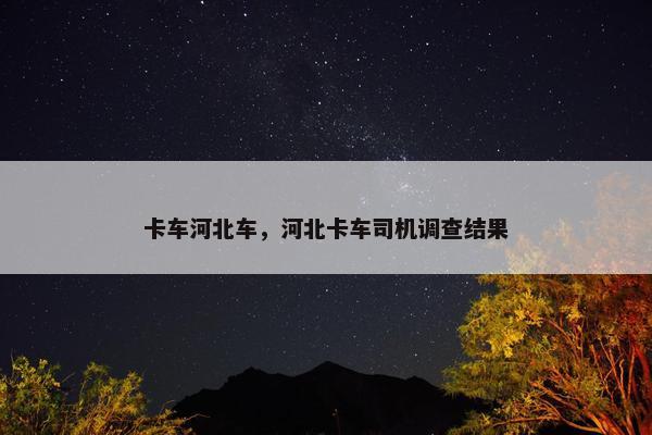 卡车河北车，河北卡车司机调查结果