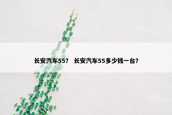 长安汽车55？ 长安汽车55多少钱一台？