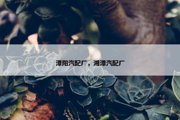 潭阳汽配厂，湘潭汽配厂