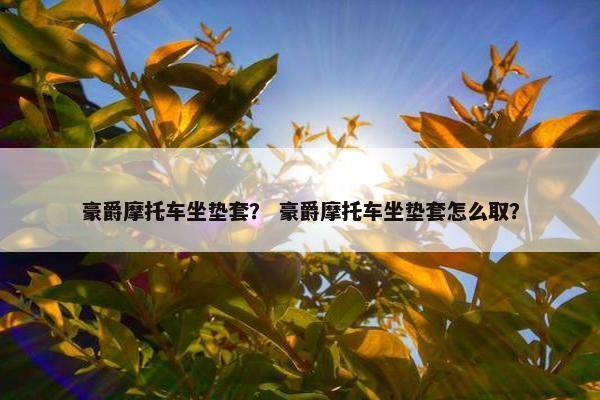 豪爵摩托车坐垫套？ 豪爵摩托车坐垫套怎么取？
