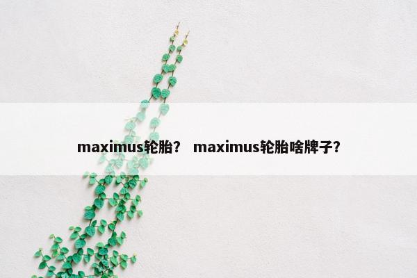 maximus轮胎？ maximus轮胎啥牌子？