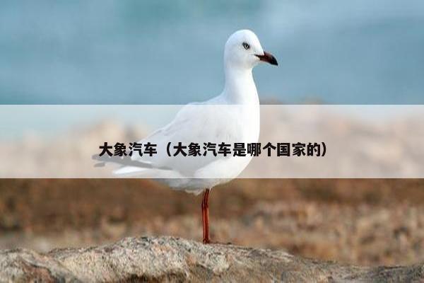 大象汽车（大象汽车是哪个国家的）