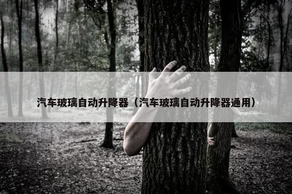 汽车玻璃自动升降器（汽车玻璃自动升降器通用）