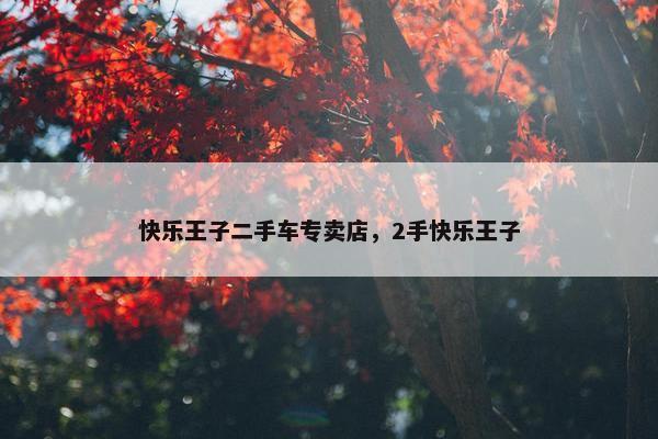 快乐王子二手车专卖店，2手快乐王子