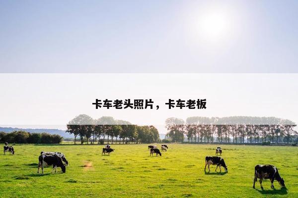卡车老头照片，卡车老板