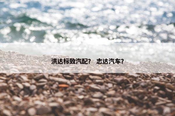 洪达标致汽配？ 志达汽车？