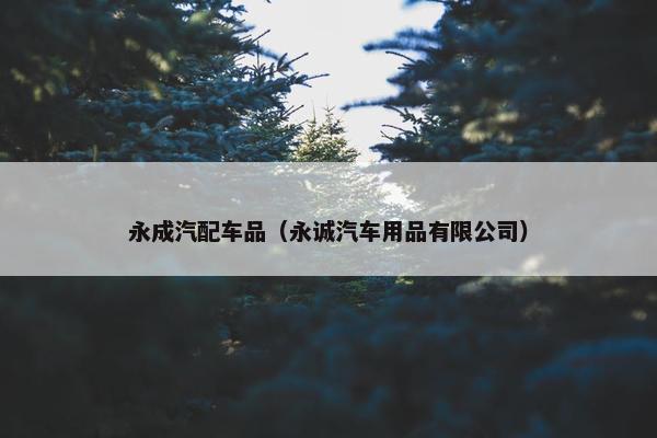 永成汽配车品（永诚汽车用品有限公司）