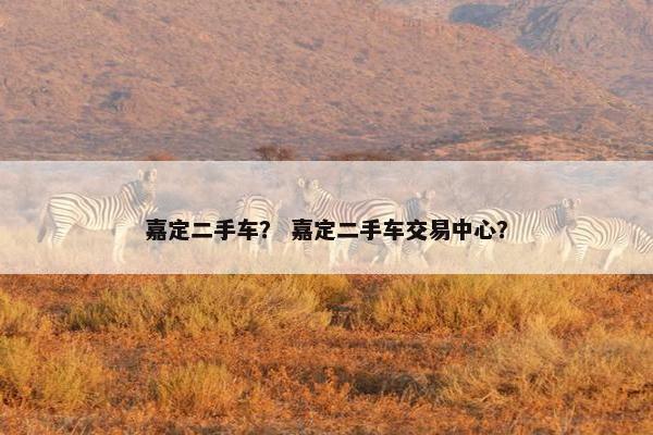 嘉定二手车？ 嘉定二手车交易中心？