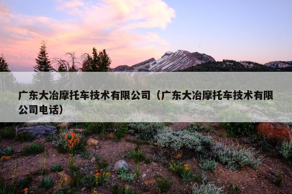 广东大冶摩托车技术有限公司（广东大冶摩托车技术有限公司电话）