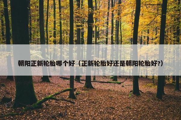 朝阳正新轮胎哪个好（正新轮胎好还是朝阳轮胎好?）