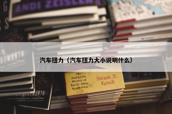 汽车扭力（汽车扭力大小说明什么）