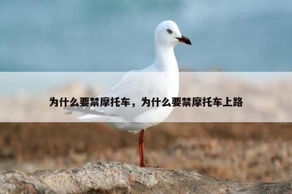 为什么要禁摩托车，为什么要禁摩托车上路