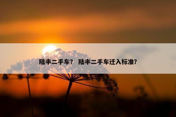陆丰二手车？ 陆丰二手车迁入标准？