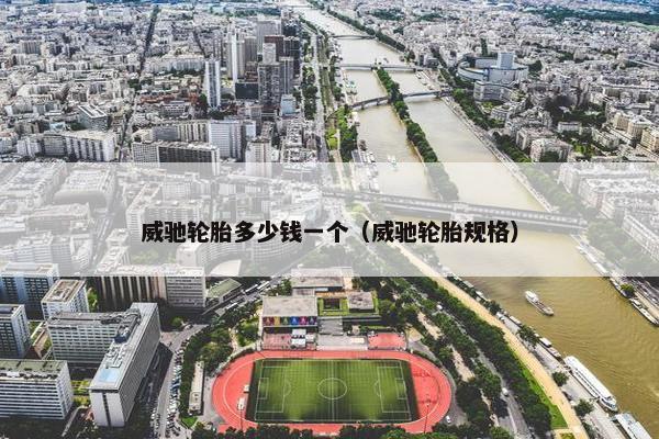 威驰轮胎多少钱一个（威驰轮胎规格）