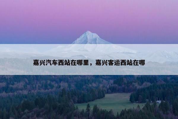 嘉兴汽车西站在哪里，嘉兴客运西站在哪