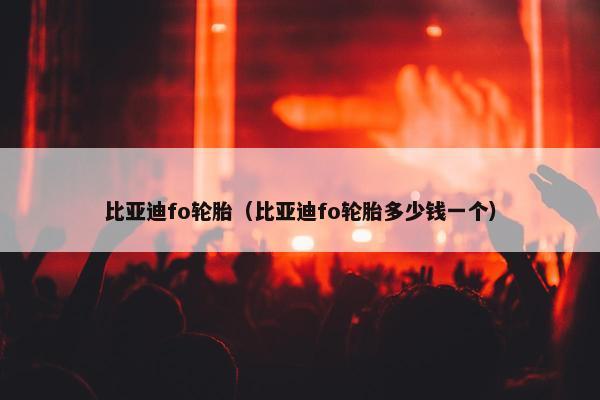 比亚迪fo轮胎（比亚迪fo轮胎多少钱一个）