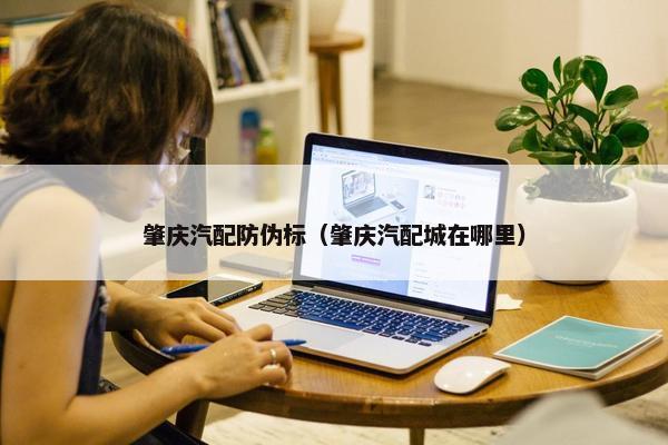 肇庆汽配防伪标（肇庆汽配城在哪里）
