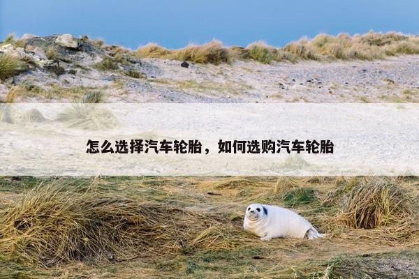 怎么选择汽车轮胎，如何选购汽车轮胎