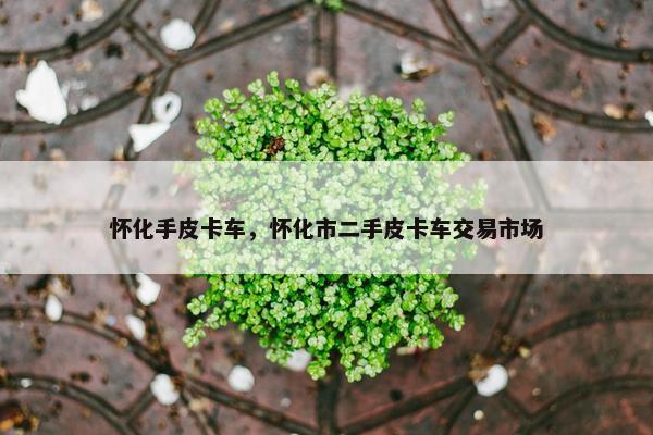 怀化手皮卡车，怀化市二手皮卡车交易市场
