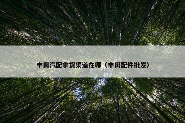 丰田汽配拿货渠道在哪（丰田配件批发）