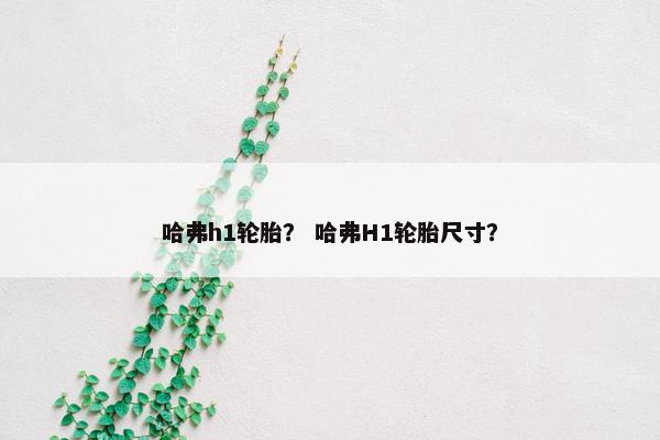 哈弗h1轮胎？ 哈弗H1轮胎尺寸？