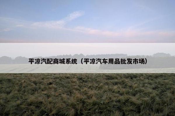 平凉汽配商城系统（平凉汽车用品批发市场）